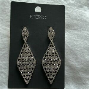 Silver Statement Earrings